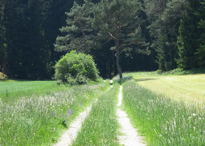 Hummelshof Appartement *